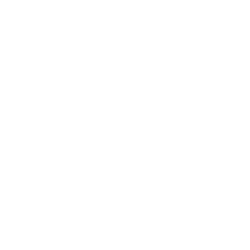 conveyor belt with rollers